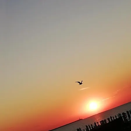 Seashore